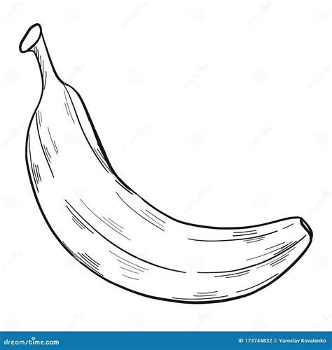 Illustration of a Banana in Clip Art Style in Isolate on a White ...