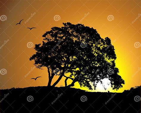 Big Tree Silhouette On Sunset Background Stock Vector Illustration Of