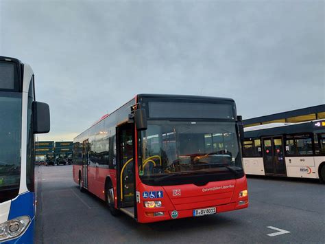 Düsseldorf MAN A21 Lion s City NL283 8011 Photo BUSPHOTO