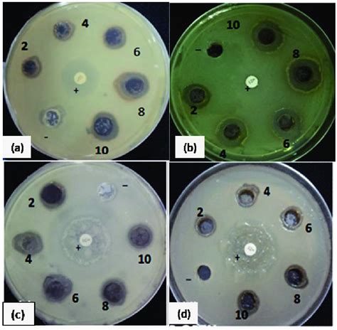 Antibacterial Activity Of Agnps Ld Positive Control And Negative