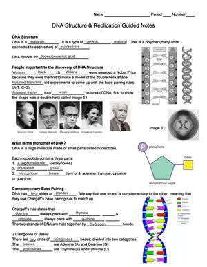 Video Recap Of Dna Chromosomes Genes Proteins By Amoeba Sisters 2018