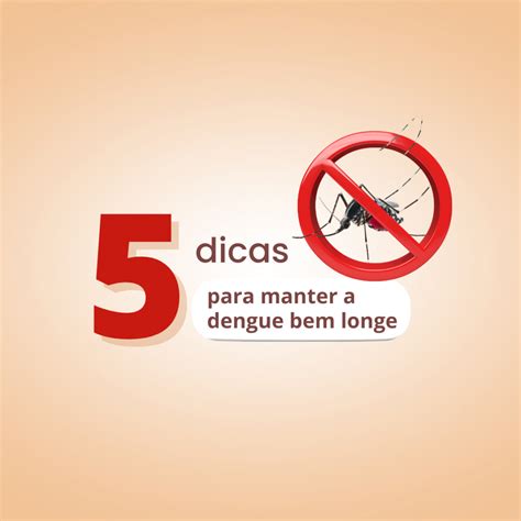 Faça Sua Parte No Combate à Dengue Morro Reuter