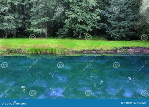 Trees Are Reflected In The Blue Water Stock Image Image Of