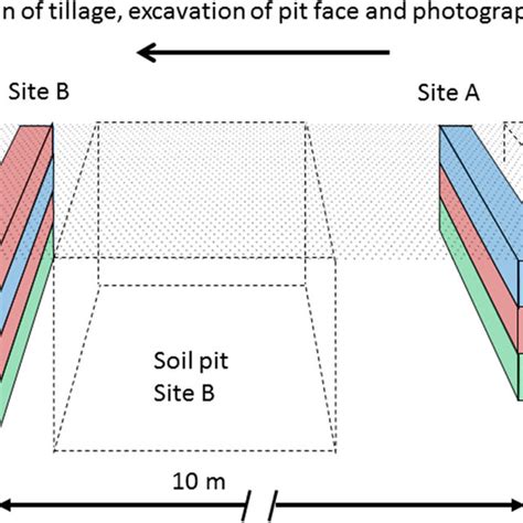 A Schematic Diagram Showing The Location Of The Trenches Of Coloured