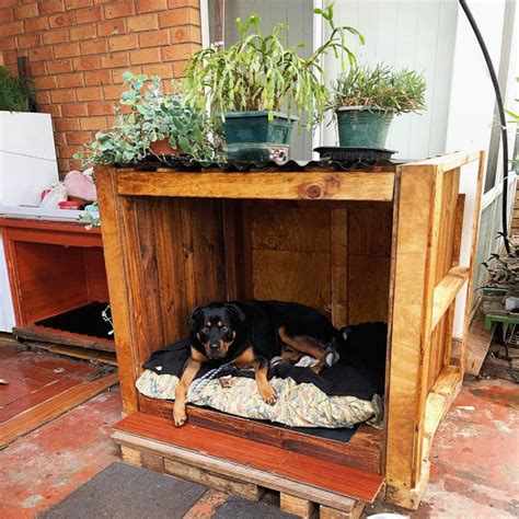 40 Free DIY Pallet Dog House Plans and Ideas - Blitsy