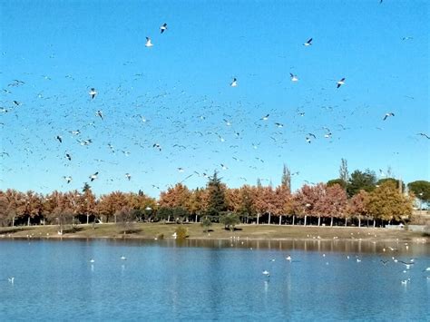 THE 15 BEST Things to Do in Leganes - 2022 (with Photos) - Tripadvisor