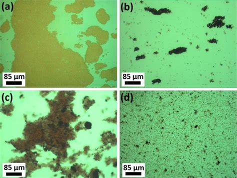 Evaluation of hemagglutination activity assays by light microscopy. a... | Download Scientific ...