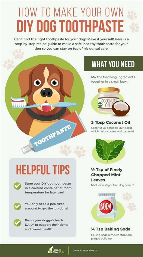 Caring For Your Dog S Teeth 2023 Dog Dental Care Guide Artofit