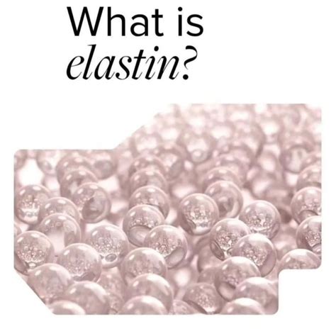 ELASTIN AND YOUR SKIN