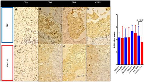 Rabbit Polyclonal Anti Cd Antibody Agilent Technologies Bioz