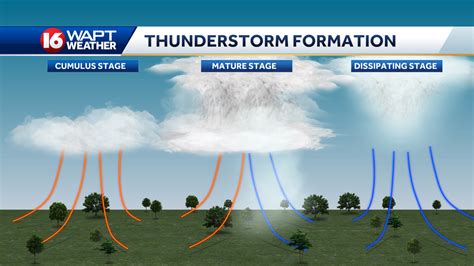 The science behind the formation of a summer thunderstorm