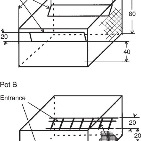 Dimensions (cm) of simulated standard king crab pot (pot A). The newly ...