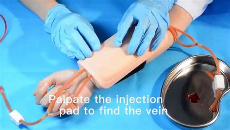 Wearable Iv Phlebotomy Practice Pad Kit For Nursing Skills Training