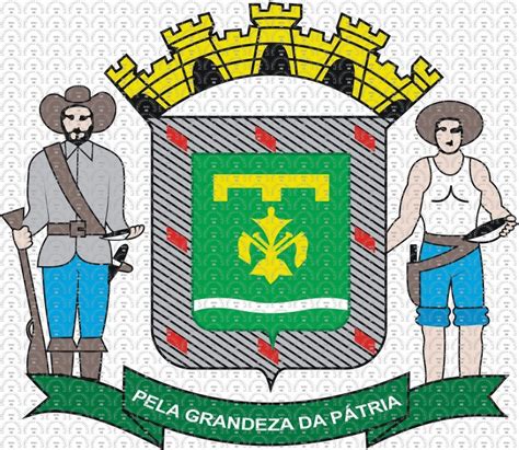 Brasão e Bandeira da Cidade de Goiânia GO mbi br