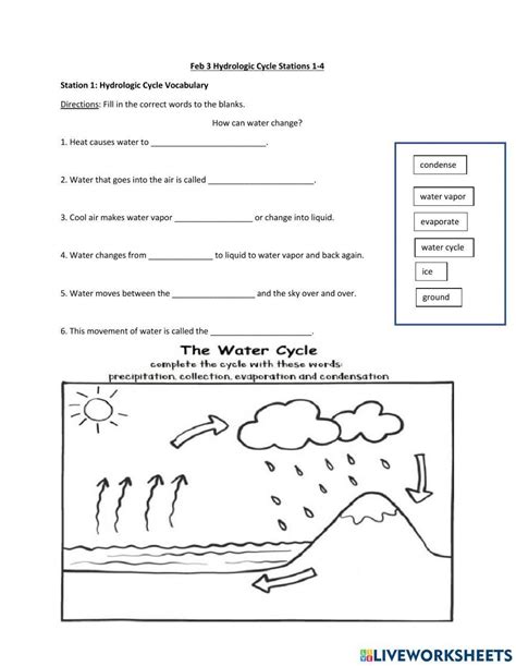 Feb Hydrologic Cycle Stations Worksheet Live Worksheets