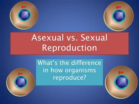 Ppt Asexual Vs Sexual Reproduction Powerpoint Presentation Free Download Id2676139