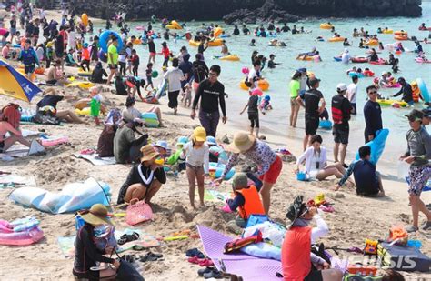 제주 해수욕장 안전관리에 집중안전요원 278명 투입 네이트 뉴스