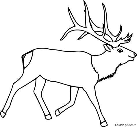 Elk Coloring Pages To Print