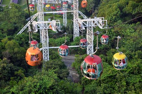 6 Top Things To Do In Hong Kong Ocean Park Adventuretravel Experta