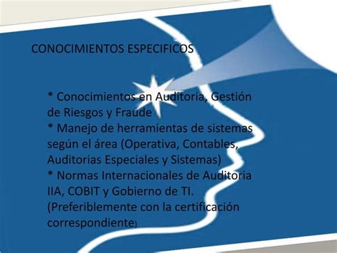 Perfil Del Auditor Ppt