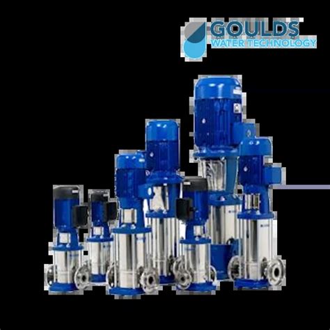 Goulds Water Technology Vertical In Line E Sv Series Eastman