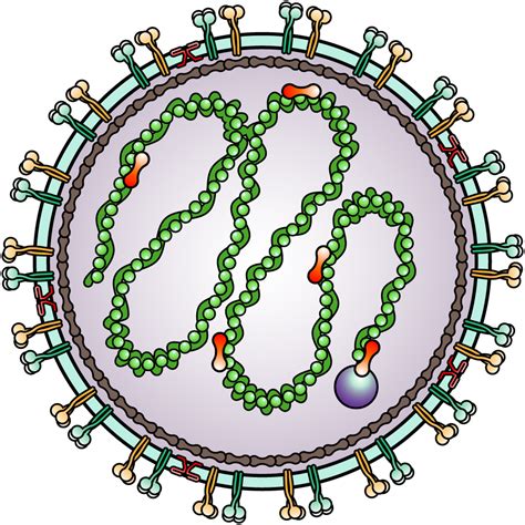 Virology Research Products Lsbio