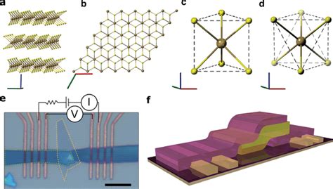 Vdwhs Based On Tmdcs A Out‐of‐plane Layered Structure Of A 2h‐tmdc Download Scientific