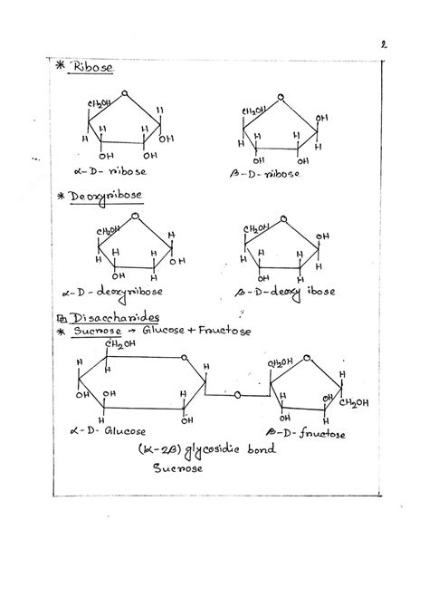 SOLUTION Biochemistry Basic Structures Of Carbohydrate Studypool