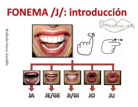 El Maravilloso Mundo De AudiciÓn Y Lenguaje Conciencia Fonémica Versión Dactilológico