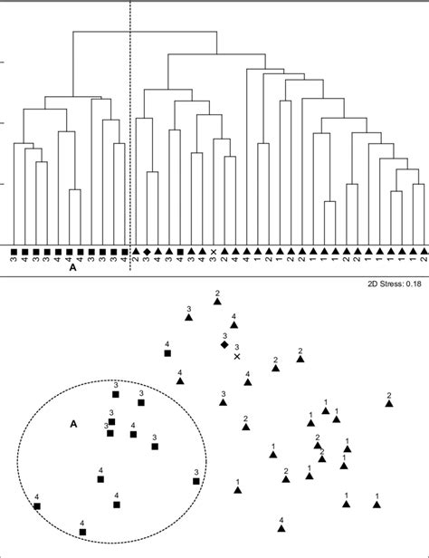 Dendrogram And MDS Ordination Showing Grouping Of Sites In The Seekoei