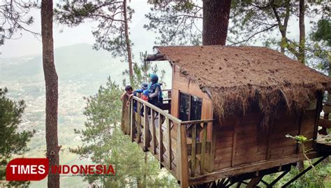 Omah Kayu Sajikan Sensasi Menginap Di Atas Pohon Times Indonesia