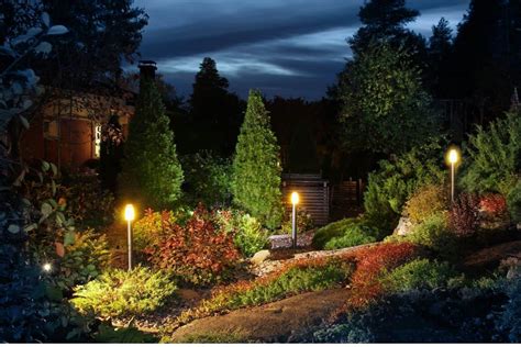 11 Arborvitae Landscape Lighting Ideas