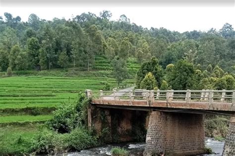 Kecamatan Tersempit Di Kabupaten Nganjuk Nomor Luasnya Hanya