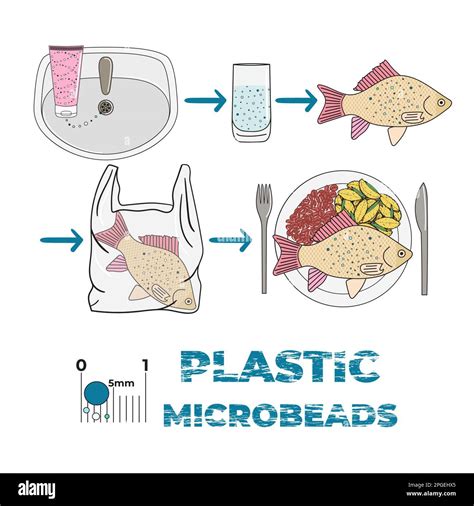 Infographie Sur Les Microplastiques Dans Les Cosm Tiques Microbilles