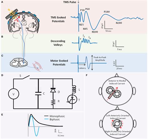 A Summarized Step By Step Guideline For Carrying Out A TMS EEG