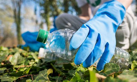 10 Consejos Para Ayudar Al Medio Ambiente Desde Casa