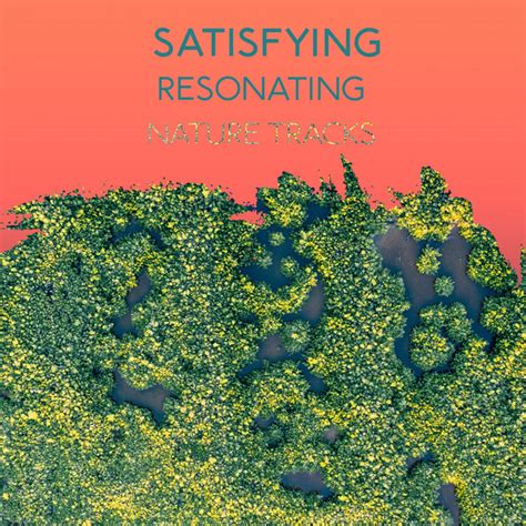 Zzz Satisfying Resonating Nature Tracks Zzz Album By Soothing Nature