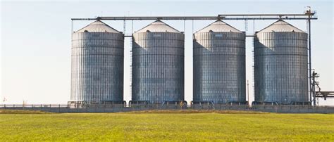 Preventing Mold And Decay In Your Grain Storage System Pneumat