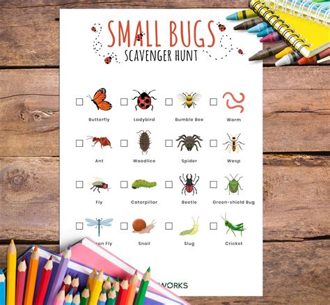 Small Bugs Scavenger Hunt For Kids Etsy