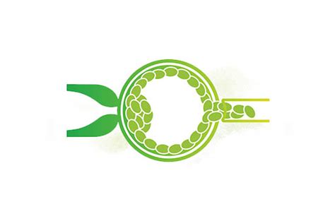 Trophectoderm Biopsy And Cell Preparation For PGT, WEST, San Diego ... 