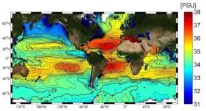 Salinidad Qu Es Salinidad Del Suelo Del Mar Y M S