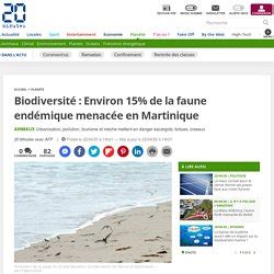 Effondrement de la biodiversité VIe grande extinction Pearltrees