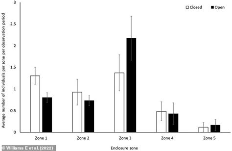 Baboons Had More Sex When Zoos Were Closed During The First Lockdown