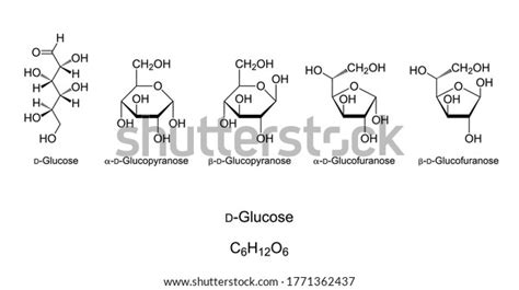 Glucose Monosaccharide Chemical Structure Simple Sugar Stock Vector ...