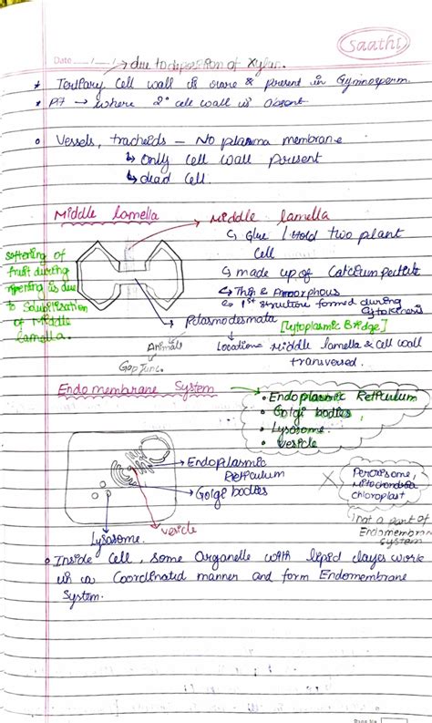 Chapter 8 Cell The Unit Of Life Class 12 Biology Notes For Cbse Board