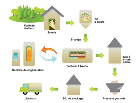 Processing Of Sawdust Into Wood Pellets Moulin Bois Énergie