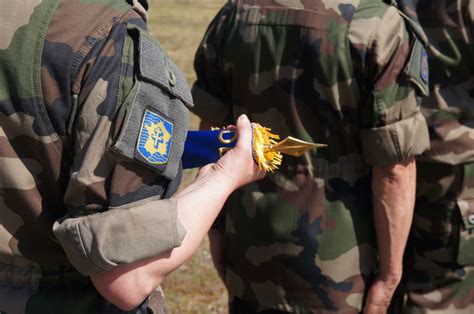 Bitche Le E Bataillon De Chasseurs Pied Sur Les Champs Elys Es