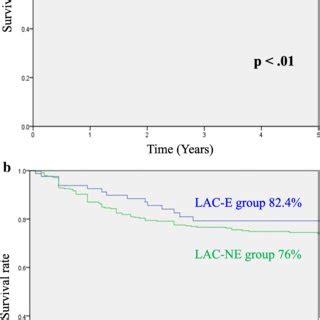 A Comparison Of 5 Year Overall Survival Between LAC E And OC E Groups