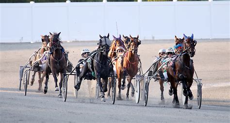 Ocean Downs | Casino & Horse Racing in Maryland