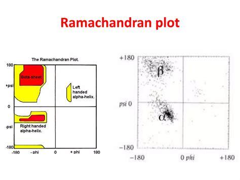 Ramachandran Plot Is Used To Confirm The Structure Of 7